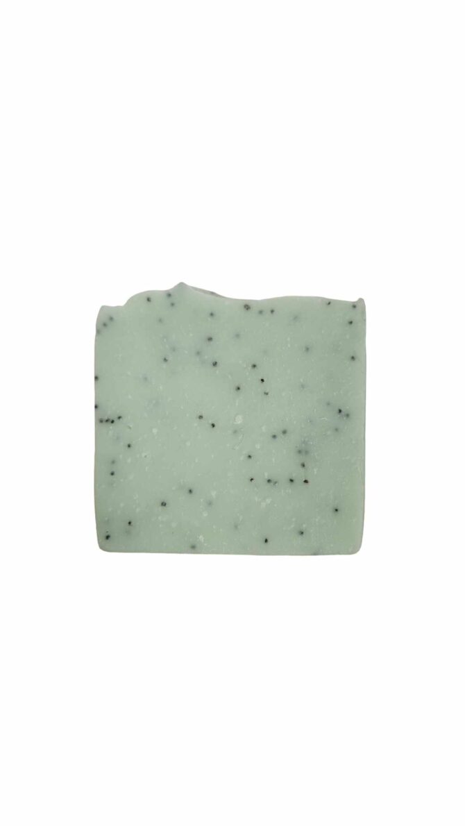 savon à la menthe et gel d'aloès. Léger exfoliant